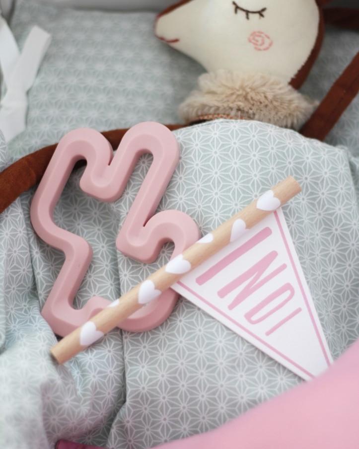 Cactus Silicone Teether