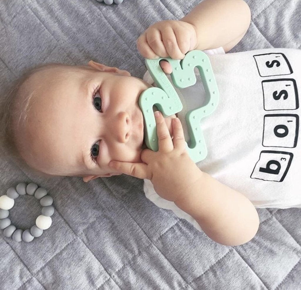 Cactus Silicone Teether
