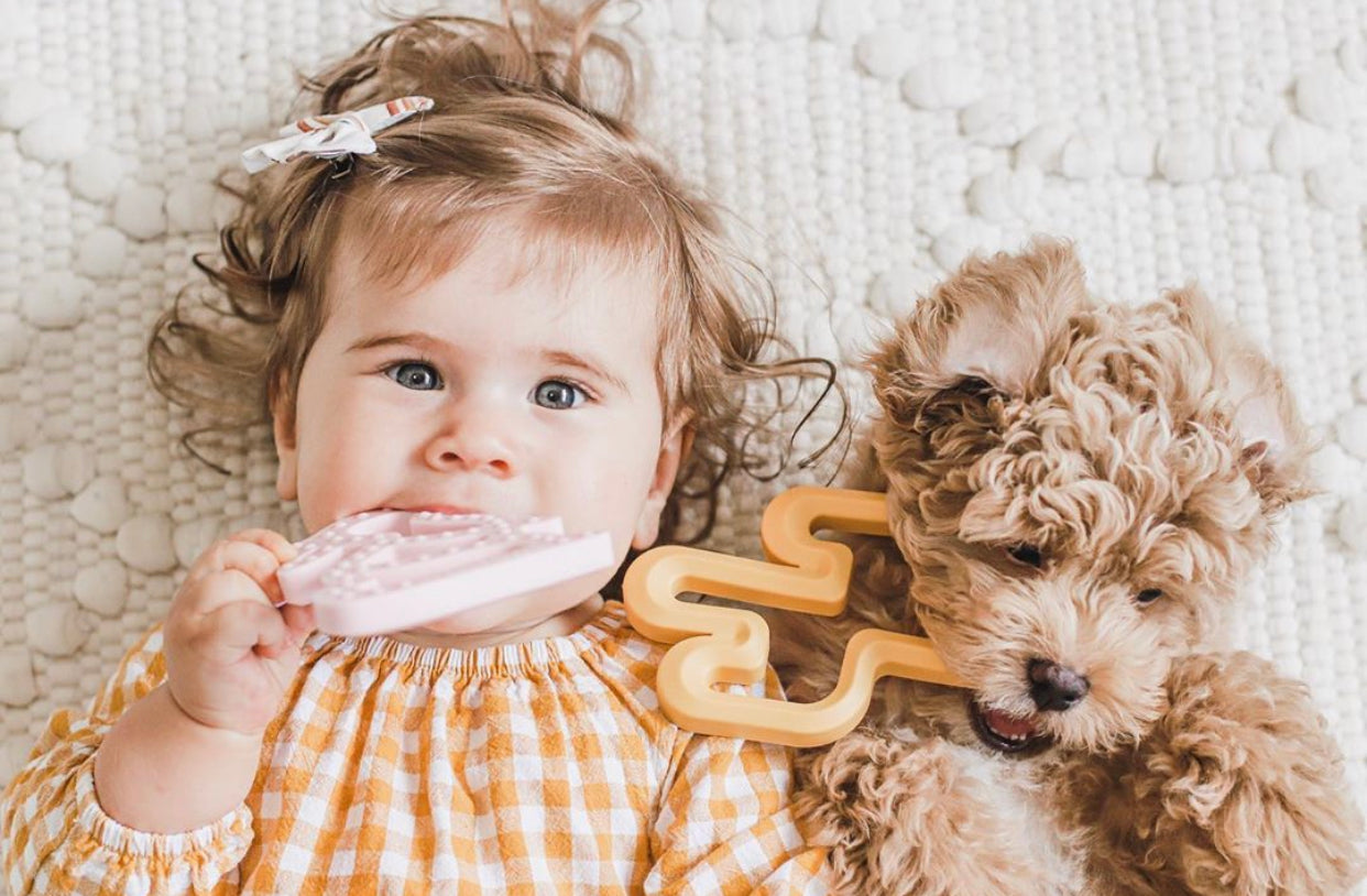 Cactus Silicone Teether