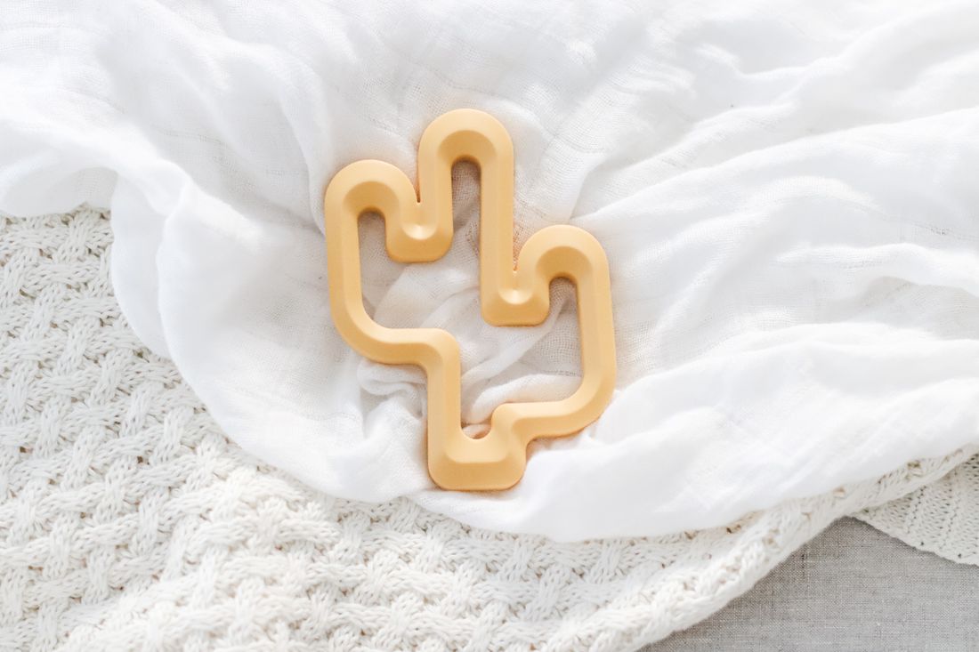 Cactus Silicone Teether
