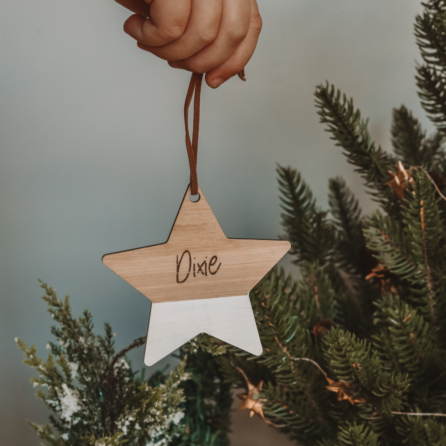 Painted Wooden Star