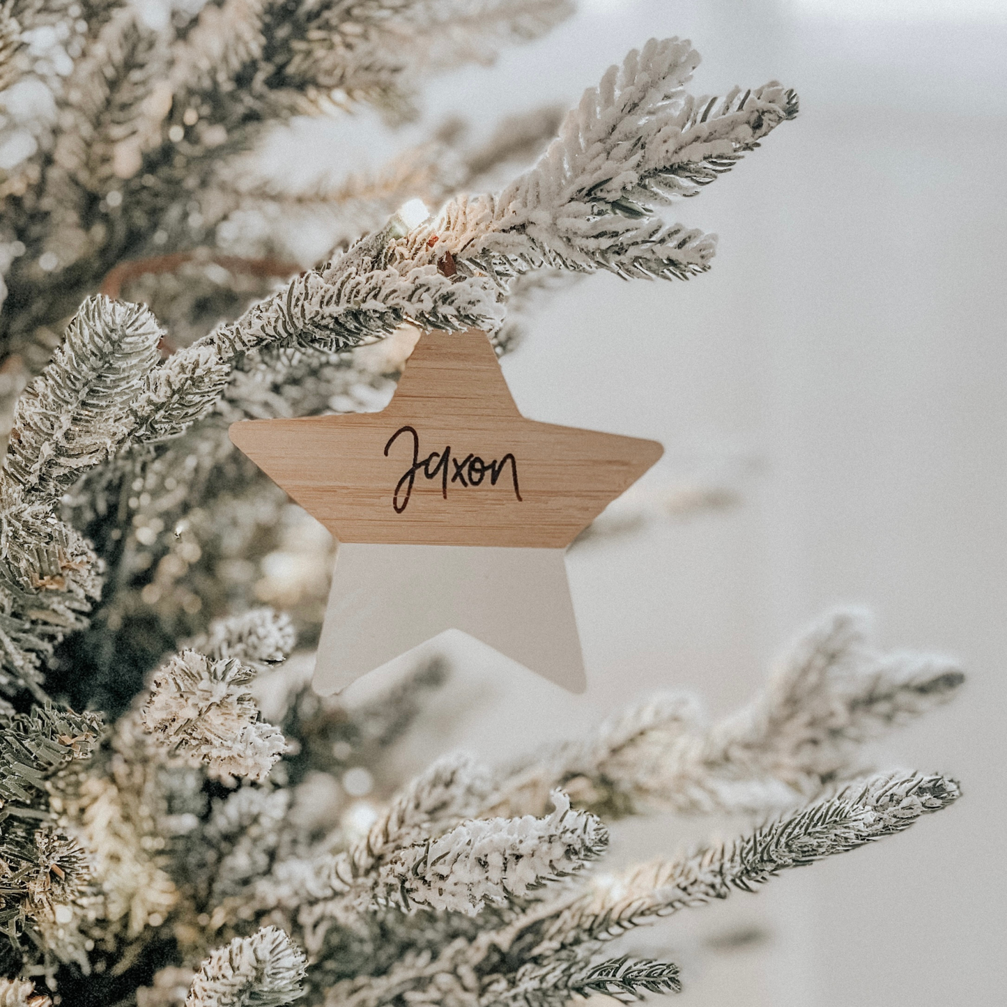 Painted Wooden Star