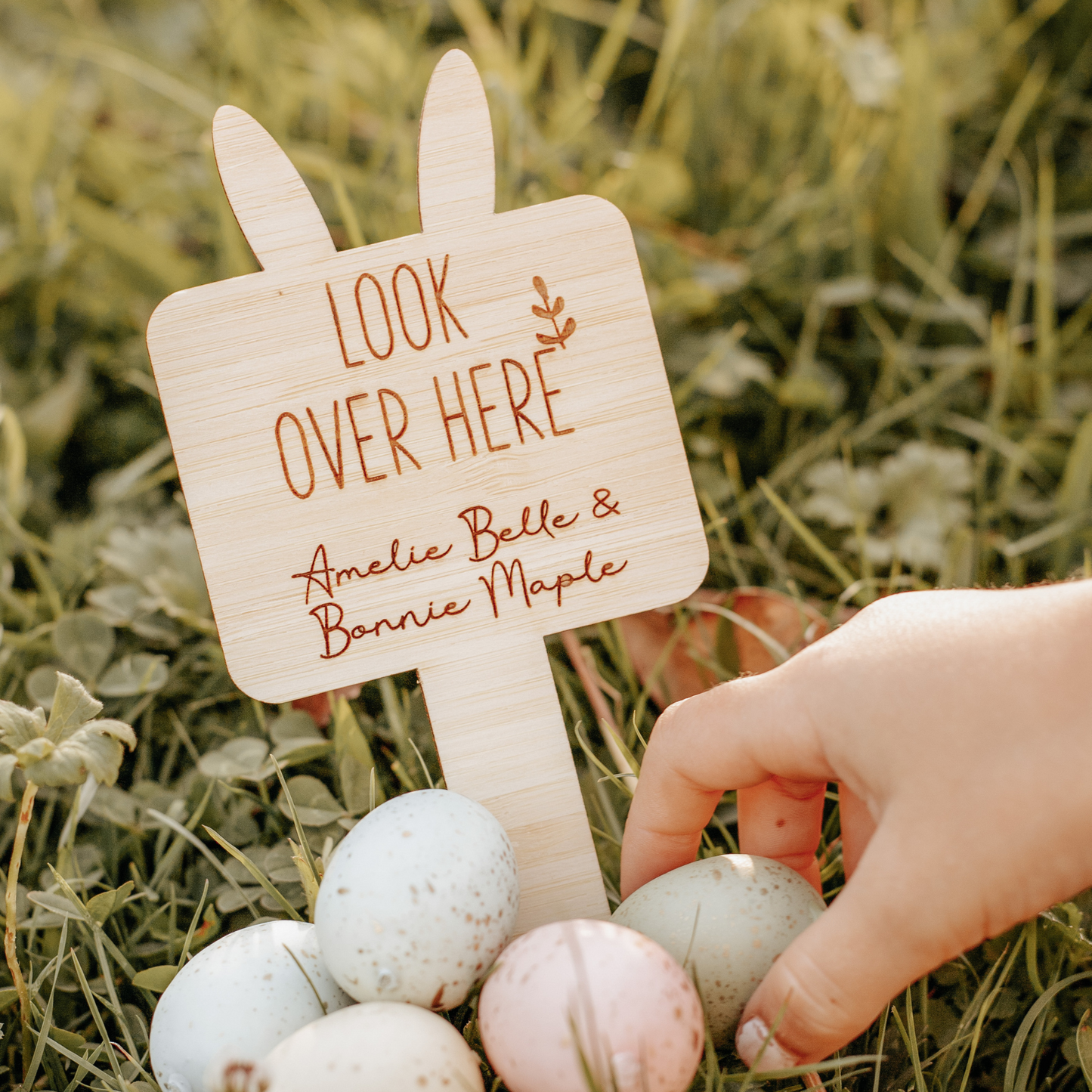 Easter Hunt signs