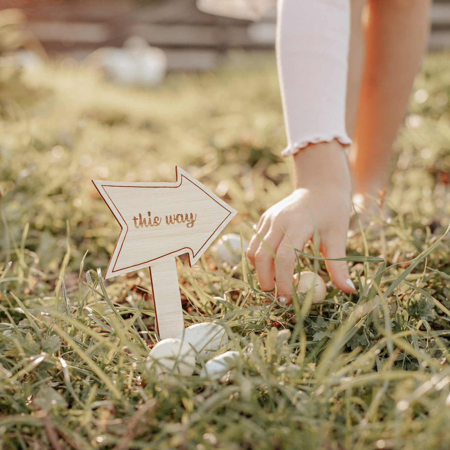Easter Hunt signs