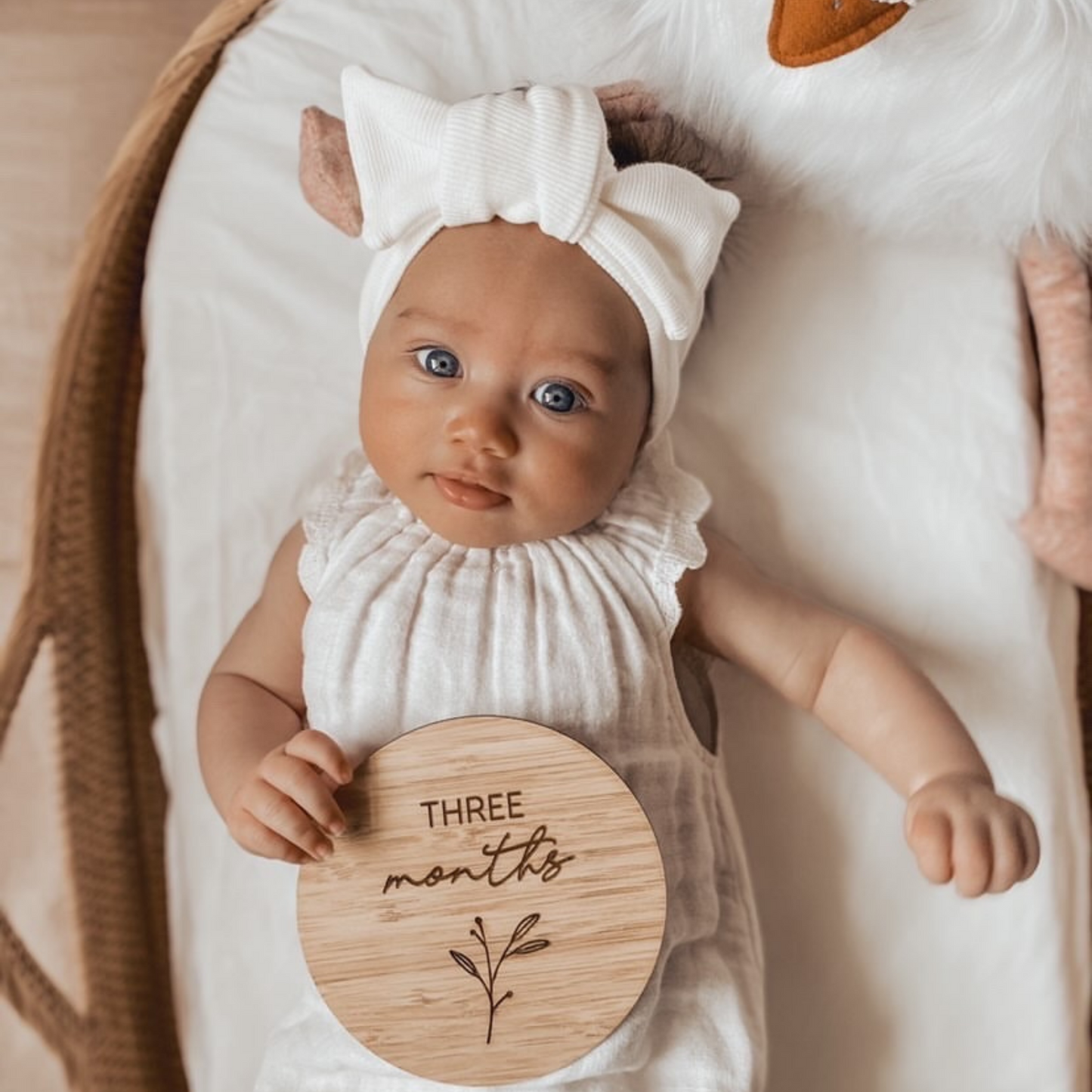 Little Bud Milestone Plaque Set
