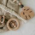 Luxury Teether / Play Gym Toy with Monstera leaf